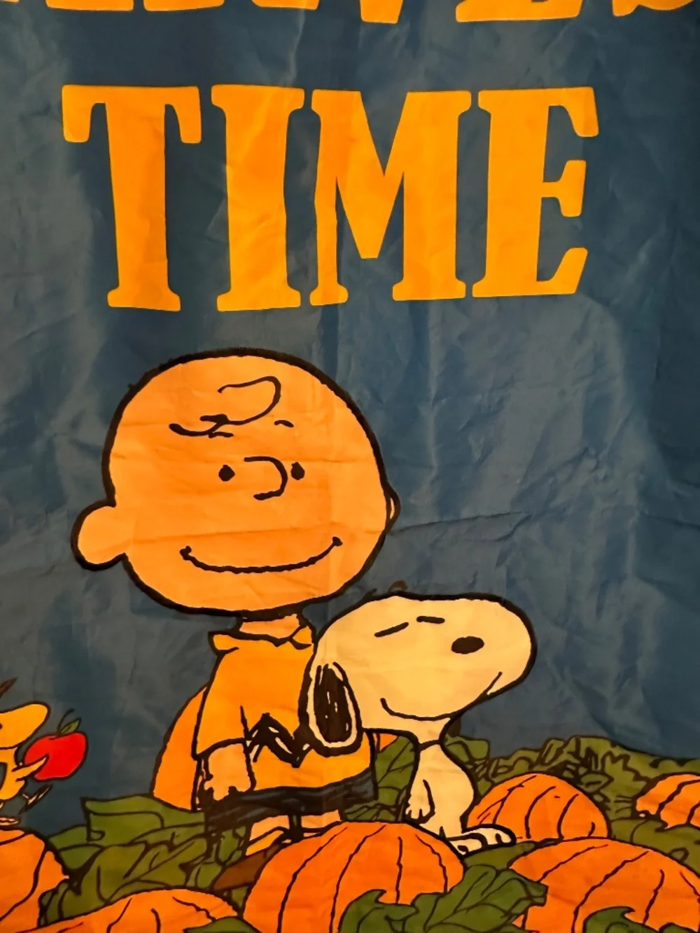 Peanuts/Charlie Brown & Snoopy Harvest/Fall House Flag/Banner 2014
